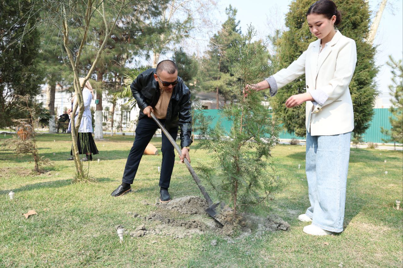 Yashil universitet faoliyati